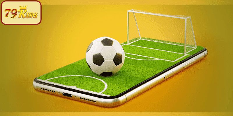 Thông tin tóm tắt về sảnh thể thao 79King